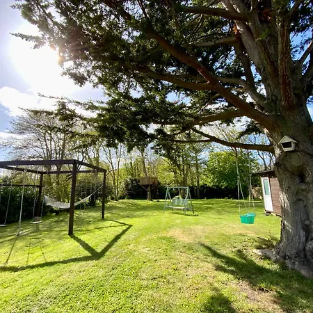 A 50m De La - Gold Alpstuga *